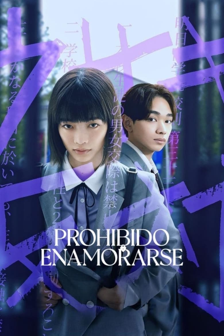 Prohibido enamorarse poster